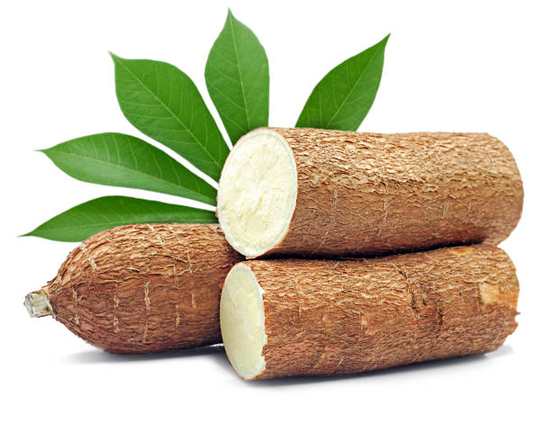 Manioc moyen